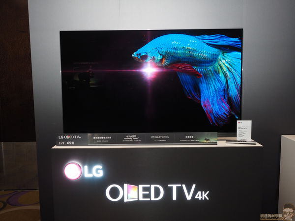 極美絢麗、電視之王  - LG OLED TV 新品上市 全球首款搭載Dolby Atmos，內建支援三規HDR -3