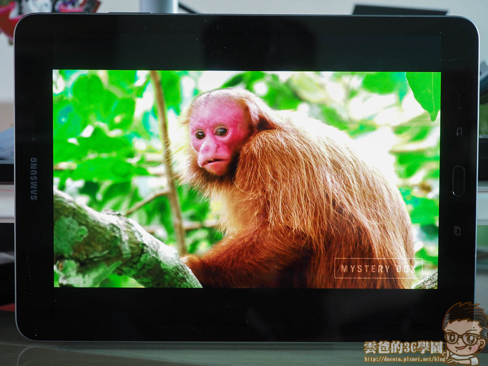 首款4K HDR平板-Galaxy Tab S3 - 開箱、評測-5031484