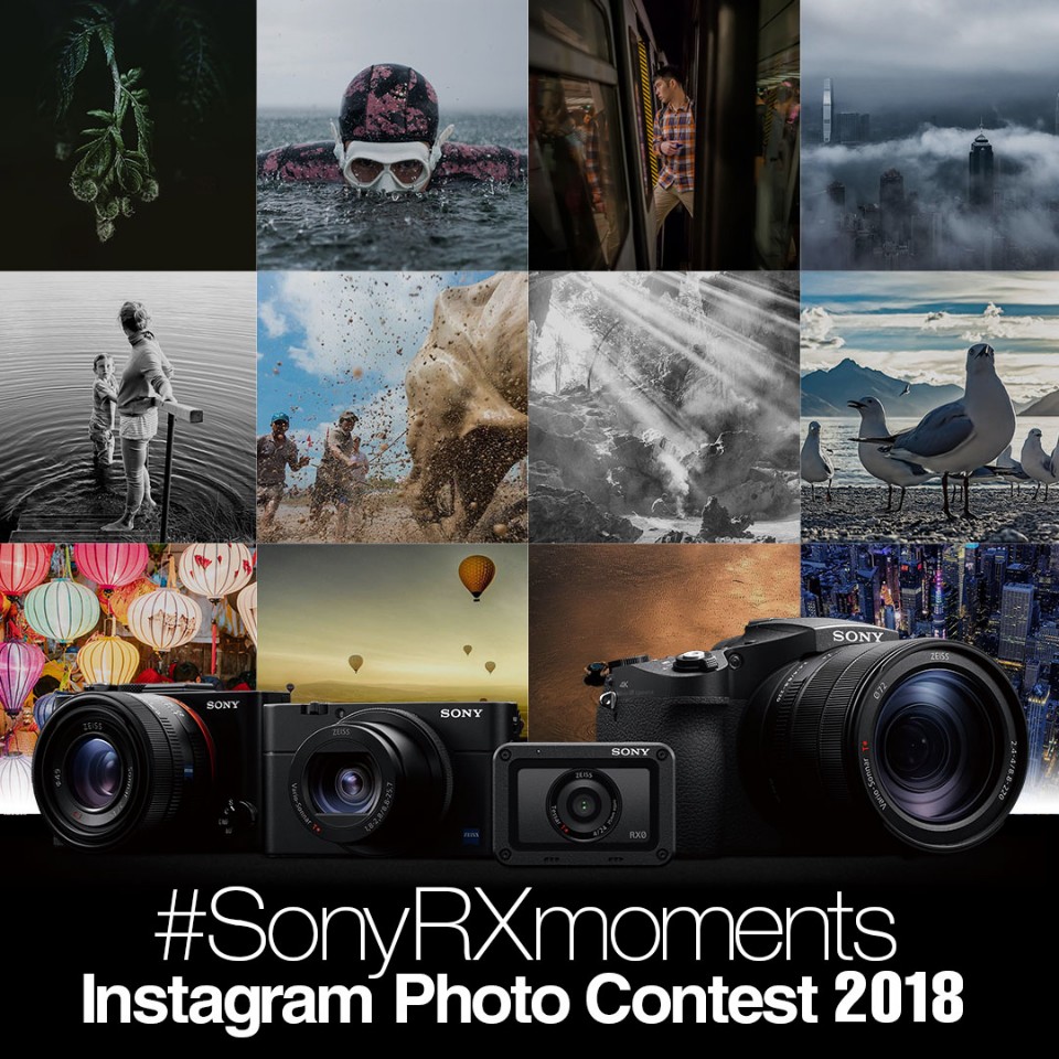2018 Sony RX Instagram 2018 Sony RX Instagram